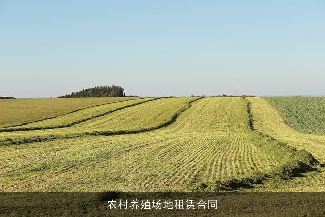农村养殖场地租赁合同