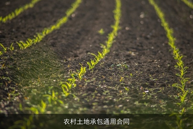 农村土地承包通用合同