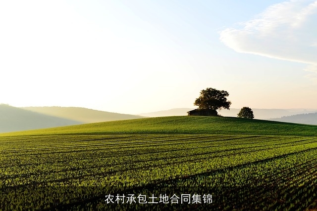 农村承包土地合同集锦