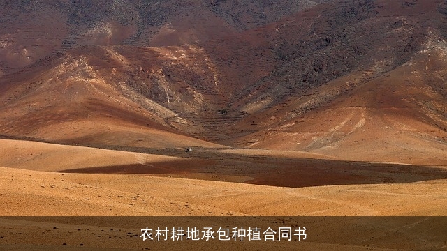 农村耕地承包种植合同书