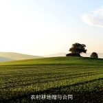 农村耕地赠与合同