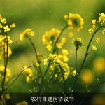 农村自建房协议书