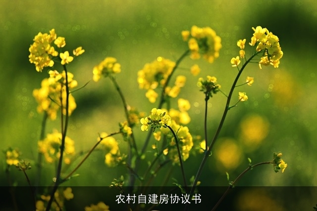 农村自建房协议书