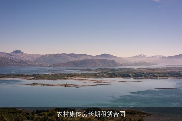 农村集体房长期租赁合同