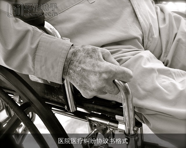 医院医疗纠纷协议书格式