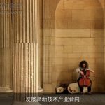 发展高新技术产业合同