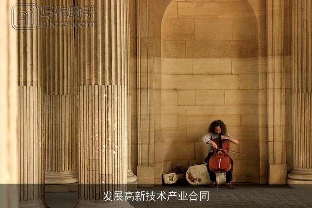 发展高新技术产业合同