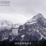 合伙买卖协议书