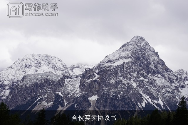 合伙买卖协议书