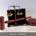 合伙协议–投资摄像馆