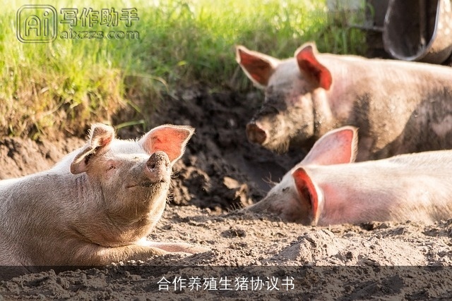 合作养殖生猪协议书