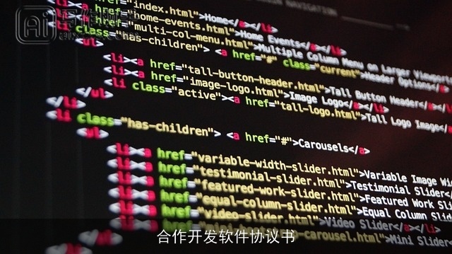 合作开发软件协议书