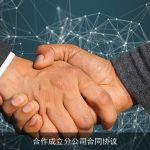 合作成立分公司合同协议