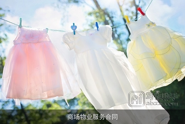 商场物业服务合同