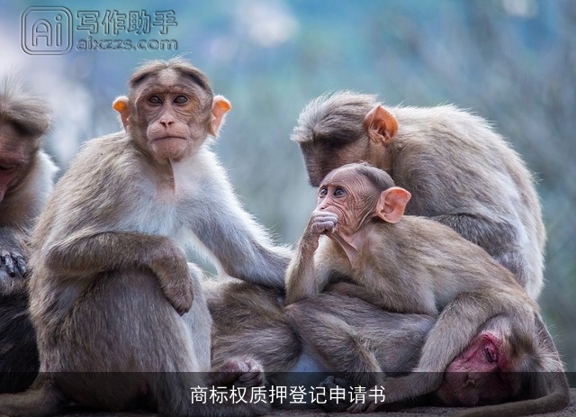 商标权质押登记申请书