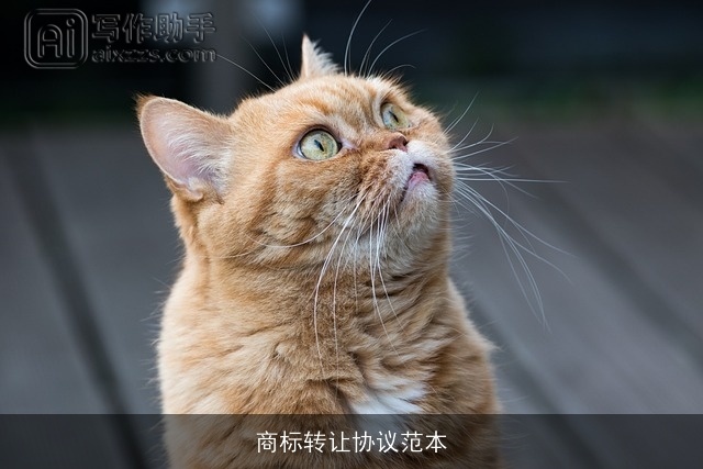 商标转让协议范本