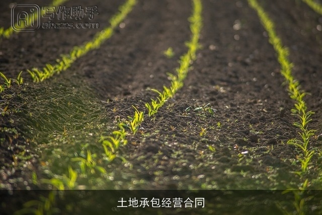 土地承包经营合同