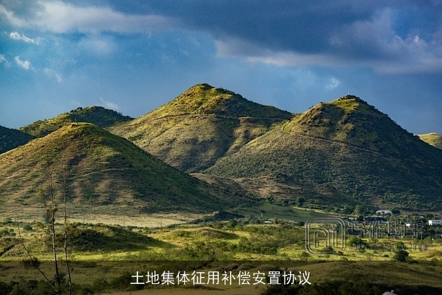 土地集体征用补偿安置协议