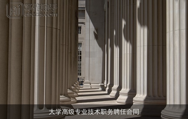 大学高级专业技术职务聘任合同