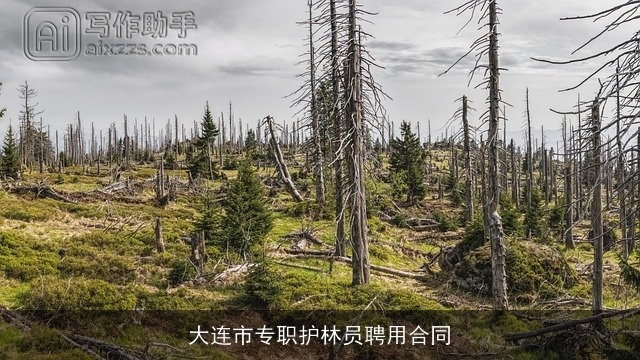 大连市专职护林员聘用合同