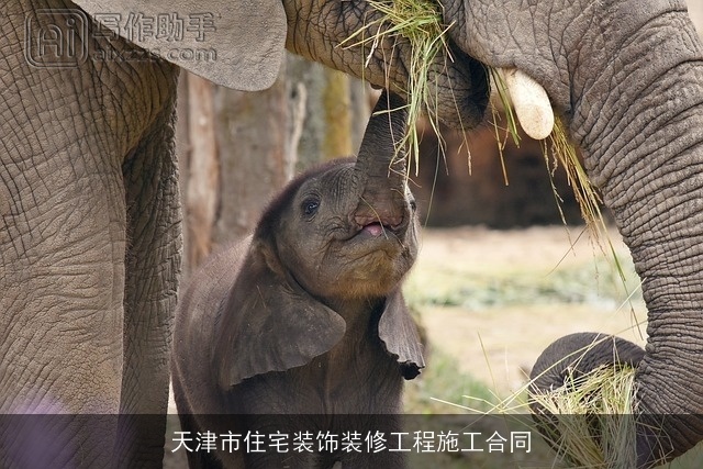 天津市住宅装饰装修工程施工合同