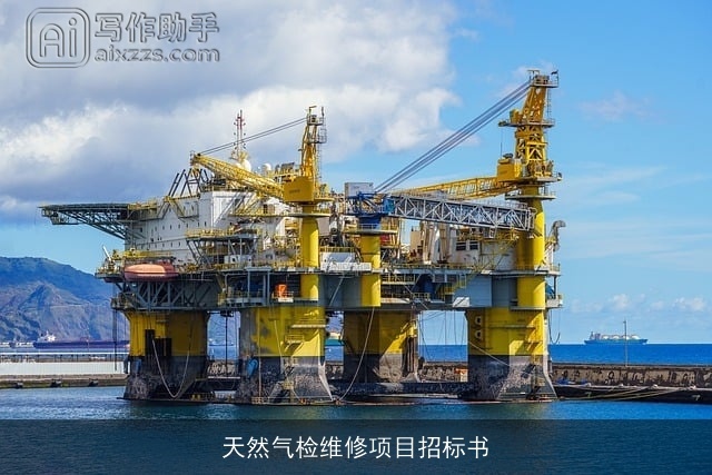 天然气检维修项目招标书