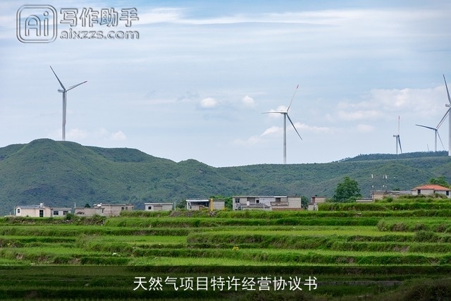 天然气项目特许经营协议书