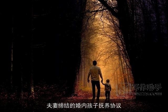 夫妻缔结的婚内孩子抚养协议