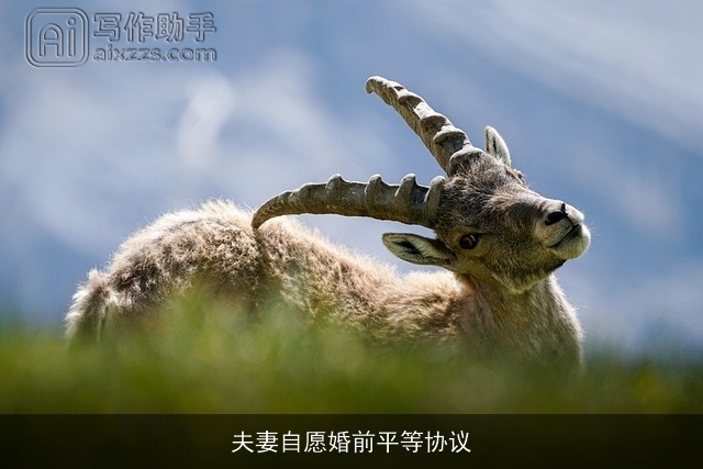 夫妻自愿婚前平等协议