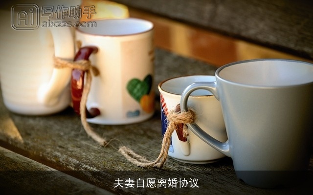 夫妻自愿离婚协议