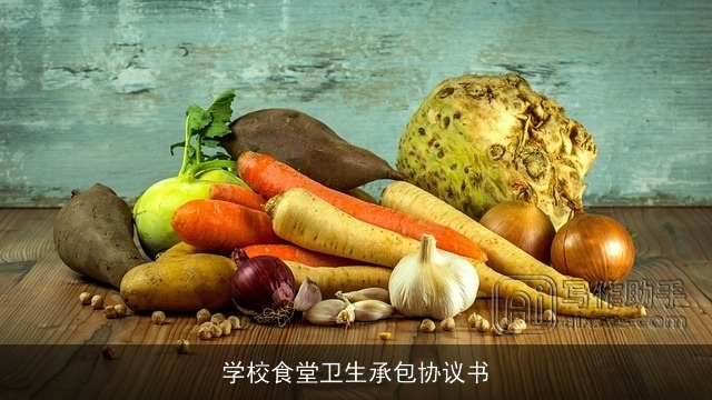 学校食堂卫生承包协议书