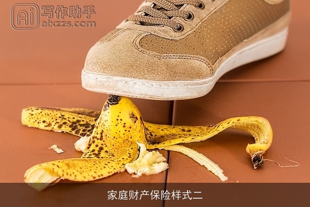 家庭财产保险样式二