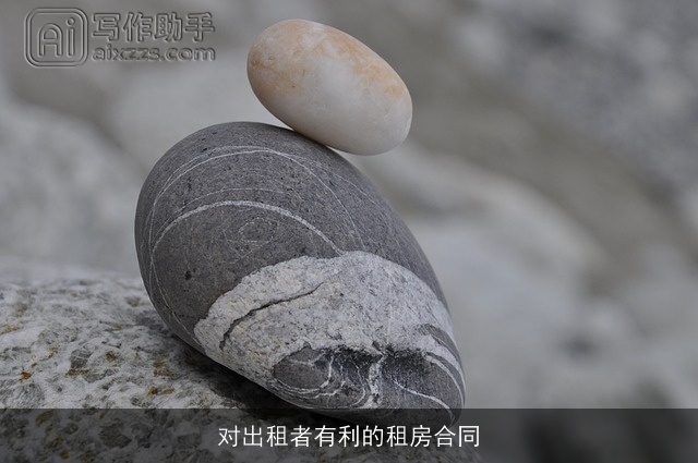 对出租者有利的租房合同