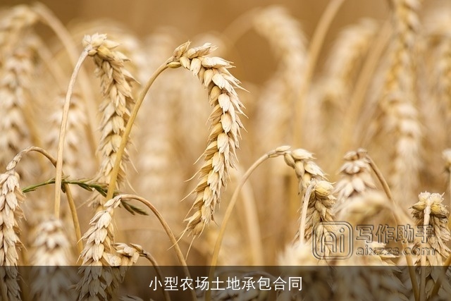 小型农场土地承包合同