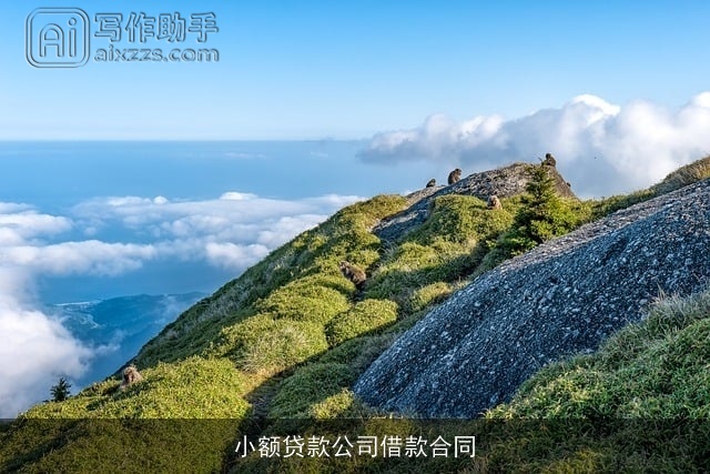 小额贷款公司借款合同