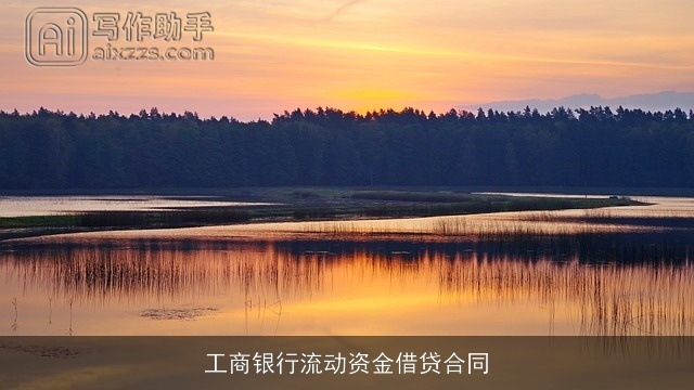 工商银行流动资金借贷合同