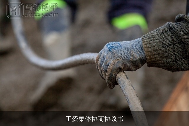 工资集体协商协议书