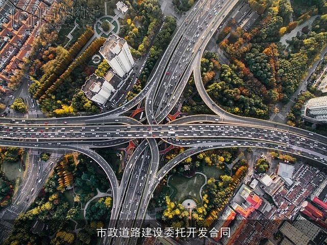 市政道路建设委托开发合同