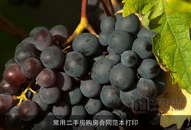 常用二手房购房合同范本打印