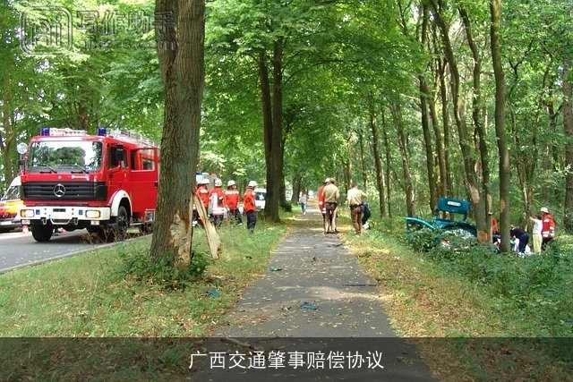 广西交通肇事赔偿协议