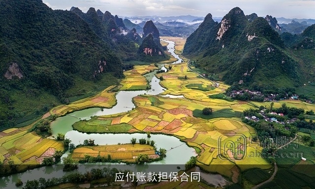 应付账款担保合同