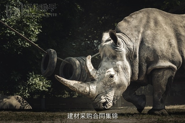 建材采购合同集锦