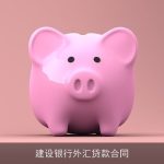建设银行外汇贷款合同