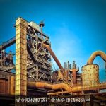 成立股权投资行业协会申请报告书