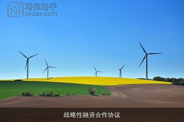 战略性融资合作协议