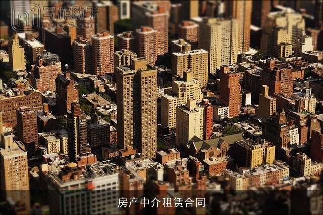 房产中介租赁合同