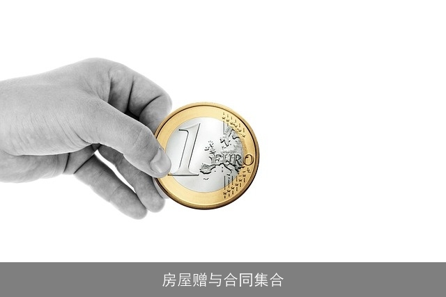 房屋赠与合同集合