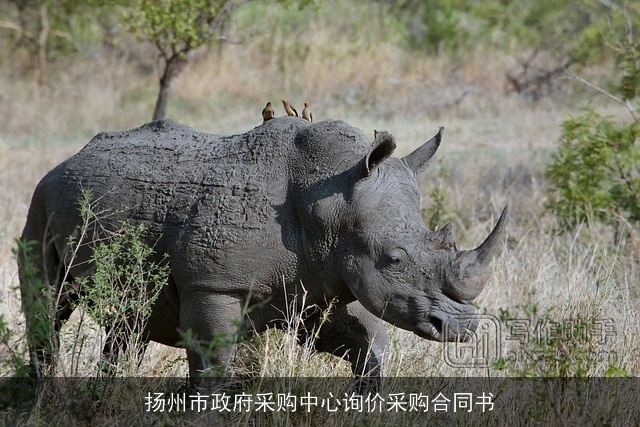 扬州市政府采购中心询价采购合同书