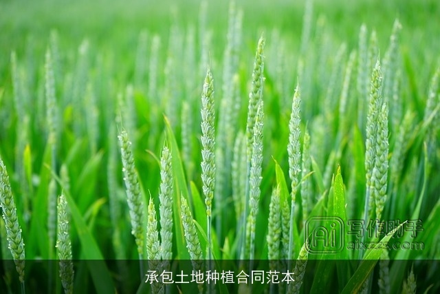 承包土地种植合同范本