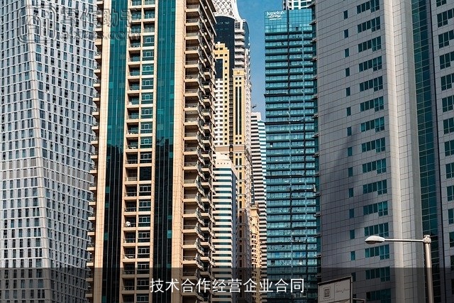 技术合作经营企业合同